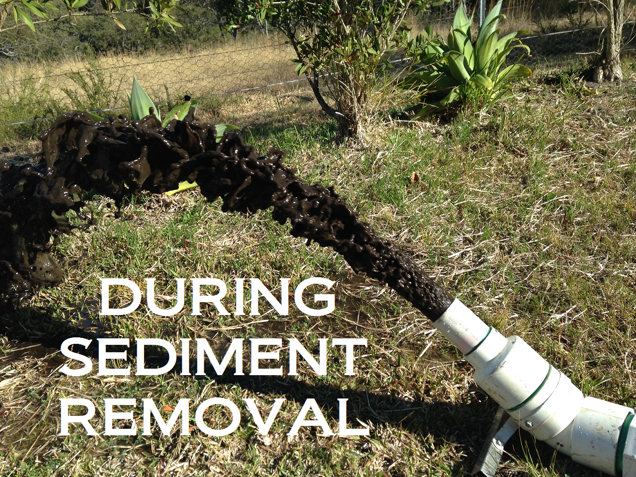 Dirty tank sediment